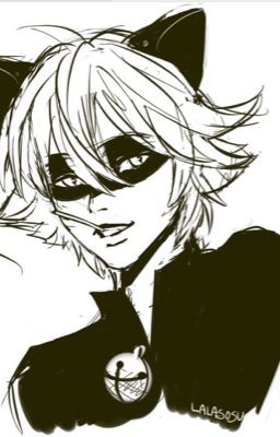 Chat Noir x Reader