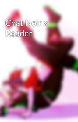 Chat Noir x Reader