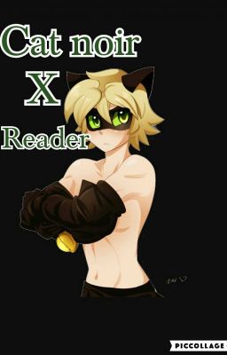 Chat noir X reader - cheater { Editing } 