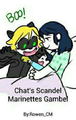 Chat's Scandal, Marinette's Gamble