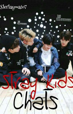 ¿Chat?¿Whatsapp?      Stray Kids