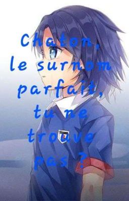 Chaton, le surnom parfait, tu ne trouves pas ? [FroyKaru]