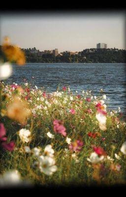 chaumz 𝜗ৎ cùng nhau