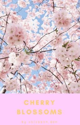 cherry blossom || myg