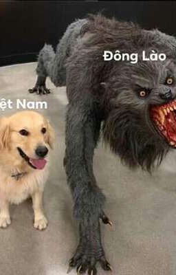 Chỉ Cần Lòng Em Có Tôi [Đông Lào x Việt Nam]