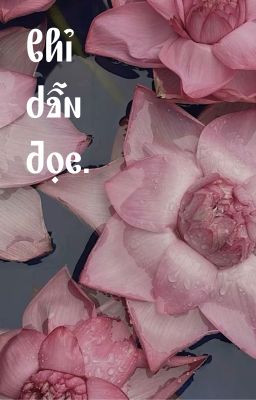 Chỉ dẫn đọc