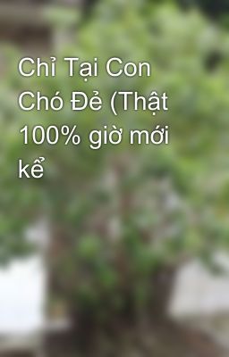 Chỉ Tại Con Chó Đẻ (Thật 100% giờ mới kể