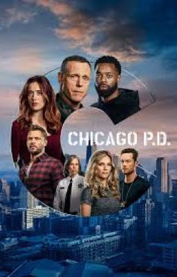 Chicago Pd (Erin Lindsay Fanfic)