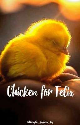 Chicken for Felix