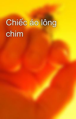 Chiếc áo lông chim