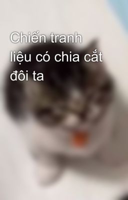 Chiến tranh liệu có chia cắt đôi ta