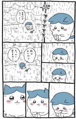 [Chiikawa] Marshmallow
