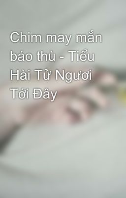 Chim may mắn báo thù - Tiểu Hài Tử Ngươi Tới Đây