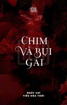 Chim Và Bụi Gai | Nhất Chỉ Tiểu Hỏa Thối