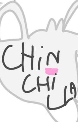 chinchilla : la familia hoja en la ciudad 