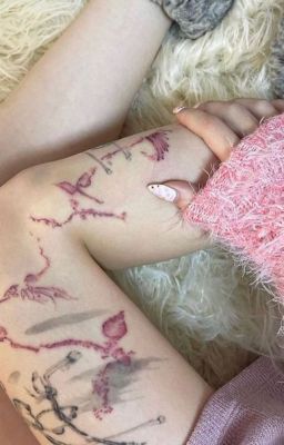 Cho Anh ⑅·˚ ༘ ♡