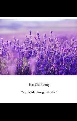 chờ đợi a quay về 💔