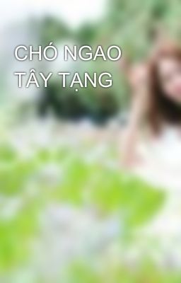 CHÓ NGAO TÂY TẠNG