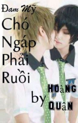 Chó Ngáp Phải Ruồi 