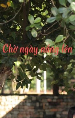 Chờ ngày nắng lên