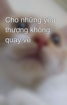 Cho những yêu thương không quay về