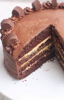 Chockolate Peanut Butter Cake