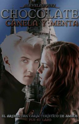 CHOCOLATE CANELA Y MENTA | DRAMIONE