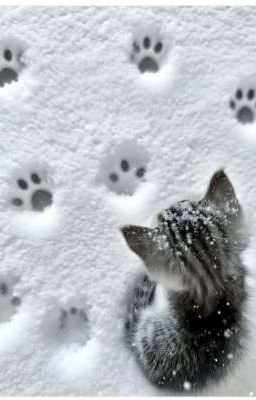 [Chodeft] Em có thể yêu anh không? 