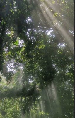 •chodeft•  still i wait