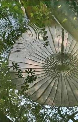 chodeft | sứ thanh hoa