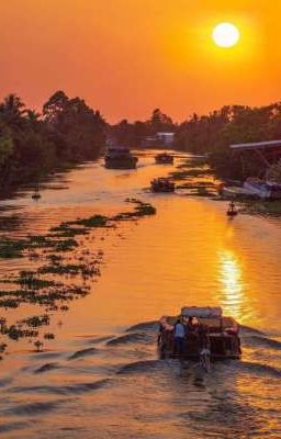 [Chodetf] Cửu Long 