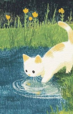 [Choker] Chuyện Nhà Mèo