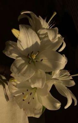 |ChoKer| Em có biết