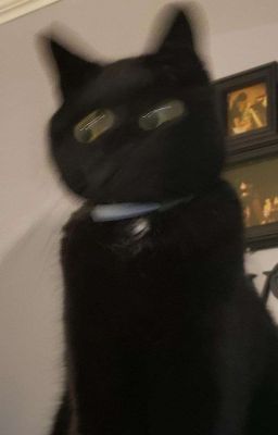 choker » em đừng làm giá vì anh không ăn phở