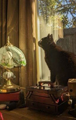 choker » got my hand cuffed