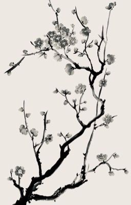 [ChoKer] Jeong tướng quân, thỉnh tự trọng