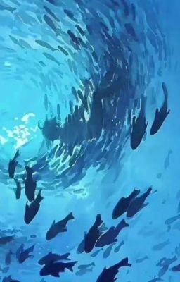 『Chonut』Dải Mobius