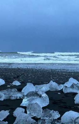 || Chonut || Luật trưởng thành 