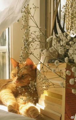 [Choran] Ẩm Ương