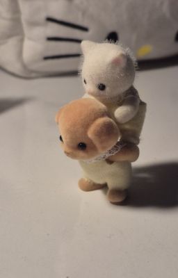 choran | bét bảng