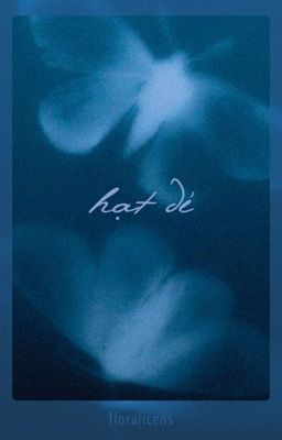 [choran] hạt dẻ