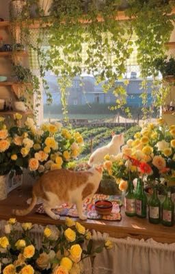 [choran] hôm nay hyeonjun đã chia tay chưa?