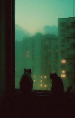 [choran/maolan] hứa.