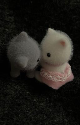 【ChoRu - Trans】Whiplash