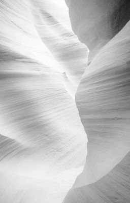 chovy x canyon | lần đầu