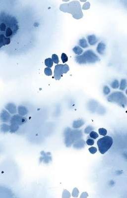 [ChovyxCanyon] Truyền Thuyết Hổ Trắng