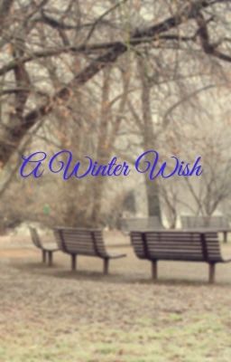 Christmas € A Winter Wish