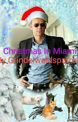 Christmas In Miami