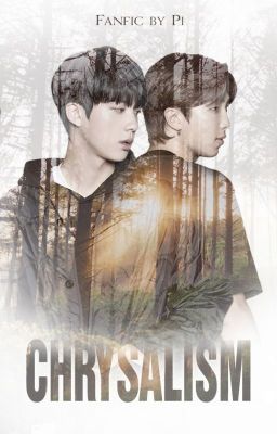 CHRYSALISM  [NAMJIN]