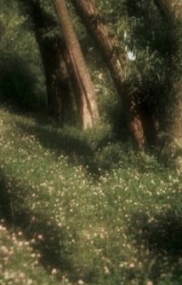 (CHS) Out of Order (UKFR)